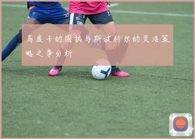 乌度卡的固执与斯波科尔的灵活策略之争分析